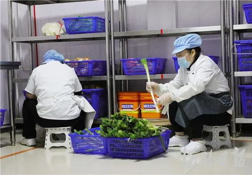 固安“互聯(lián)網(wǎng)+明廚亮灶” 以網(wǎng)絡技術(shù)服務為校園食品安全管理提質(zhì)增效